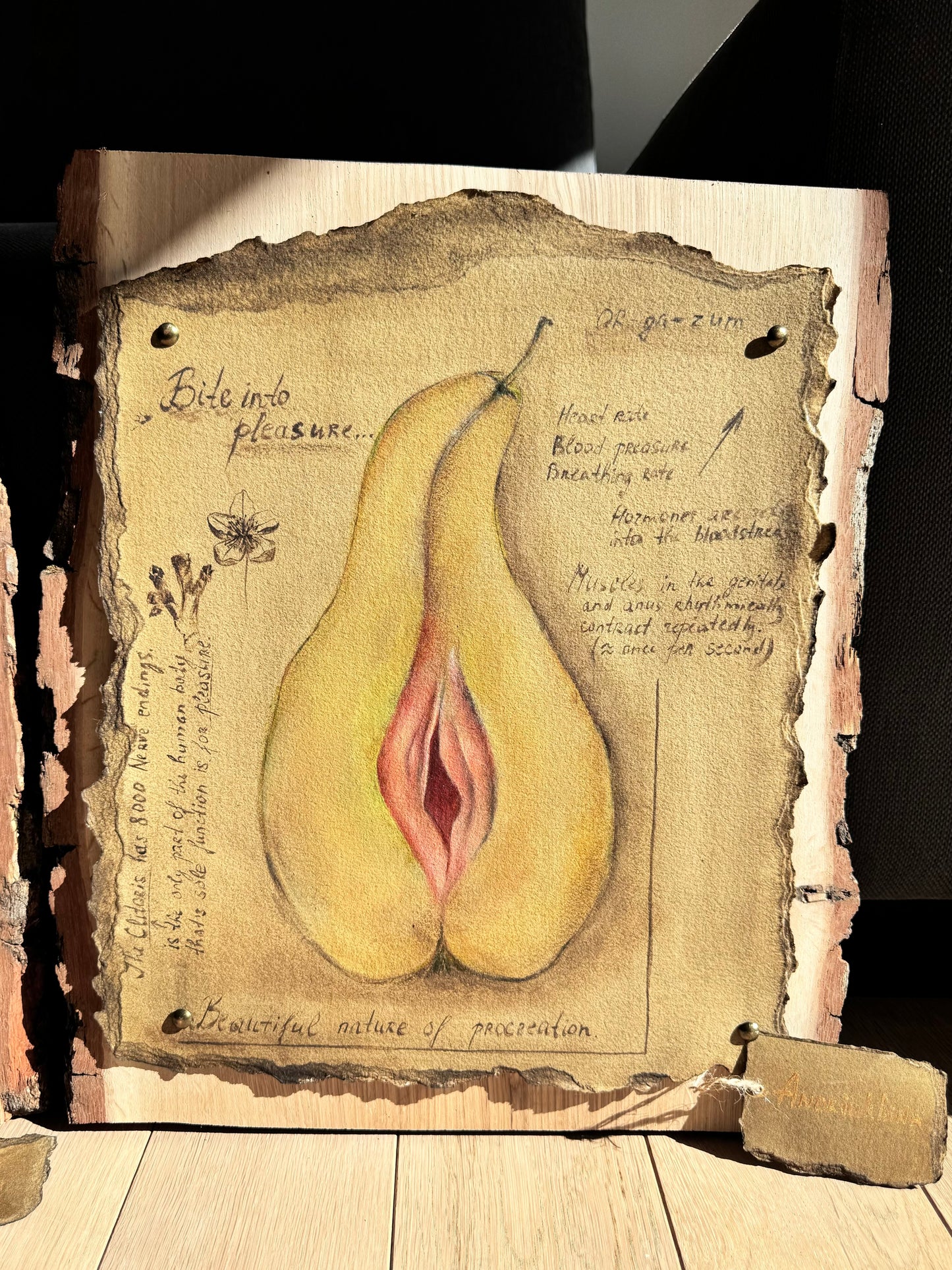 ‘Pleasure of procreation’