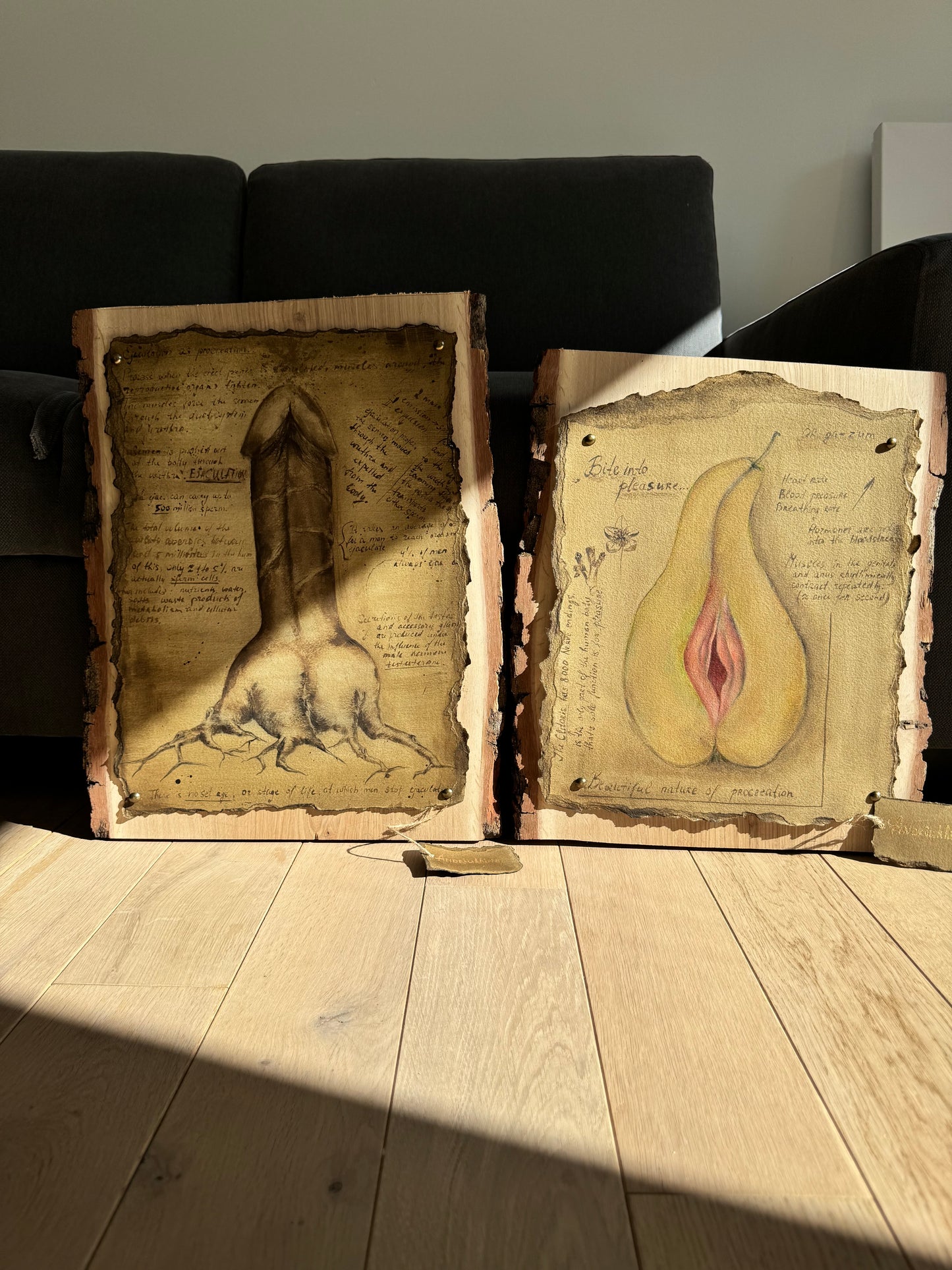 ‘Pleasure of procreation’