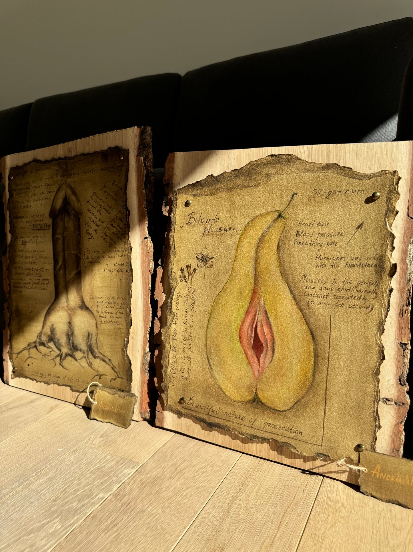 ‘Pleasure of procreation’